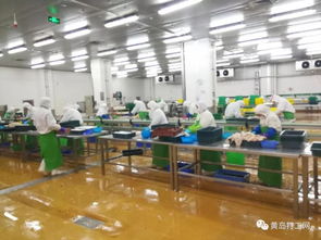 太平恩利食品加工厂高薪诚聘 包吃包住，男女不限，酒店管理岗月薪过万